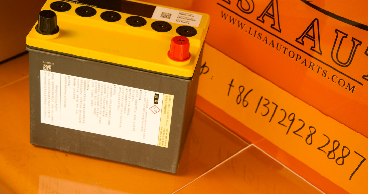 TESLA S BATTERY BATERIA 12V 1480221-00-A NEW CONDITION Find parts for your vehicle +(86)137 2928 2887